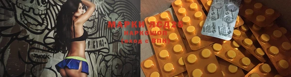 тгк Алзамай