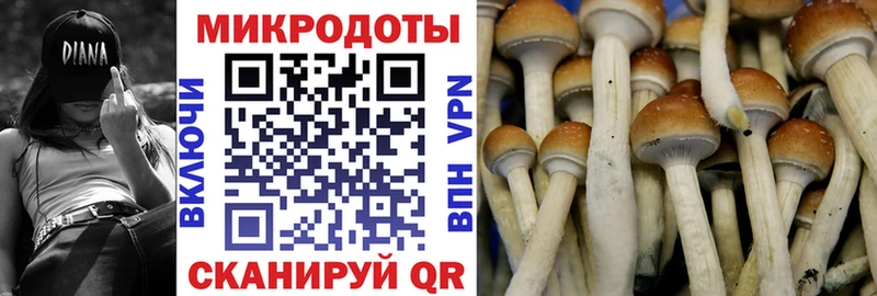 Галлюциногенные грибы Magic Shrooms Обоянь